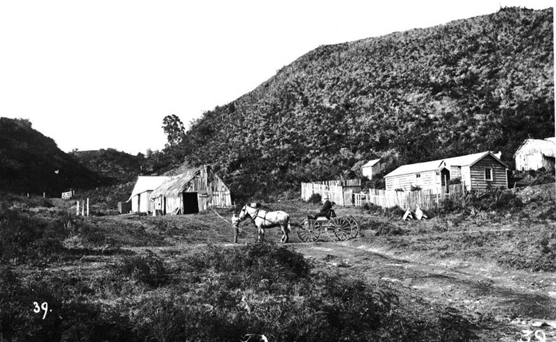 Carters Stables and horse and buggy, Cambridge-Rotorua Road - now Carter's Flat., Cambridge NZ