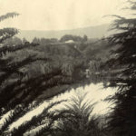 Lake Te Koutu, Cambridge, early 1900s