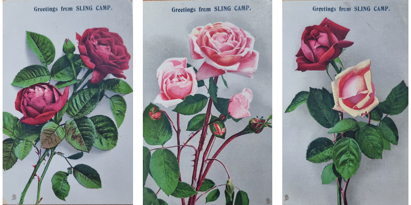 Postcards from Sling Camp, May 1917
