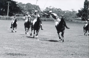 Polo, February 1964