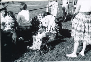 At Cambridge racecourse, date unknown 