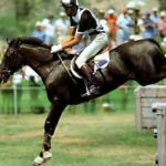 Horse jumping over fences at the Olympics