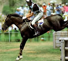 Horse jumping over fences at the Olympics
