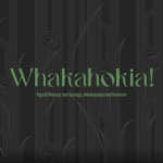 Whakahokia